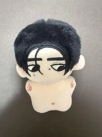 정품 ENHYPEN 성훈 Sunghoon 봉제 인형 10cm