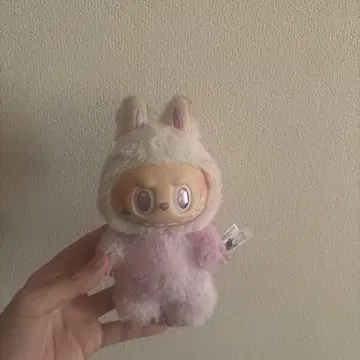 러브브 보라색