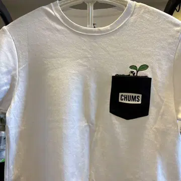 CHUMS 티셔츠 XL 6개 세트