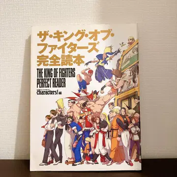 더 킹 오브 파이터즈 완전 독본