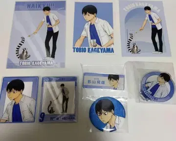 카게야마 토비오 동물원 하이큐