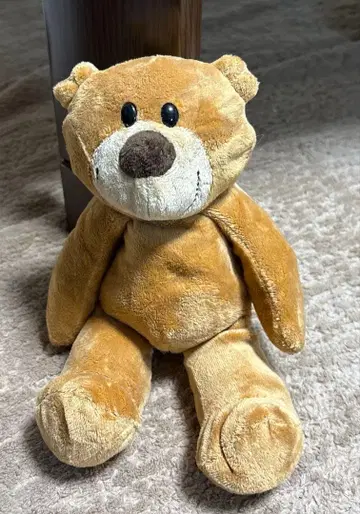 곰 봉제 인형