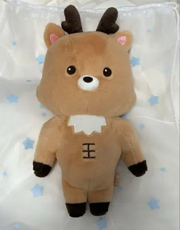 RIIZE 성찬 우라밤
