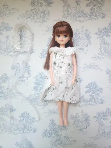 리카짱 본체와 의류 일식