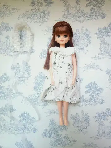 리카짱 본체와 의류 일식