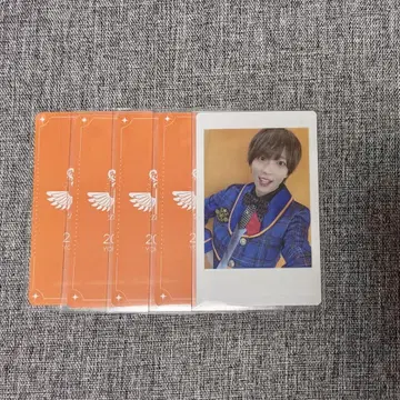 DDP 팟치 하피카