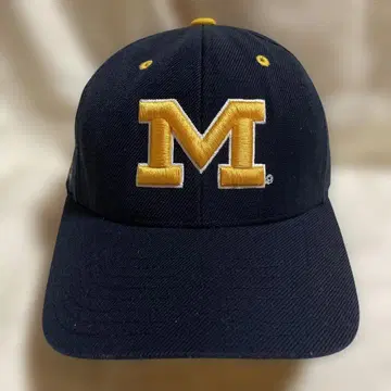 MICHIGAN 미시건 대학 캡 칼리지 구제 의류 모자