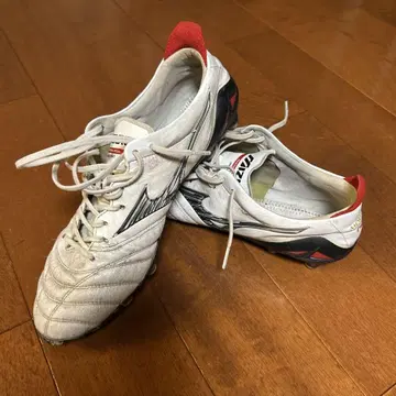 모렐리아 네오 IV JAPAN 26.5