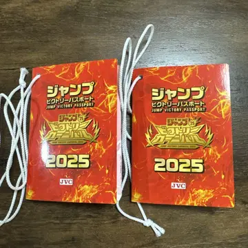 점프 빅토리 카니발 여권