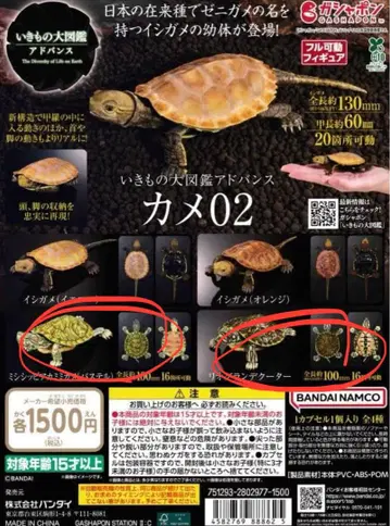 생물대도감 어드밴스 거북이 2