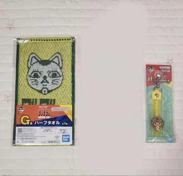 단단단 하프 타월 & 폿코토 참