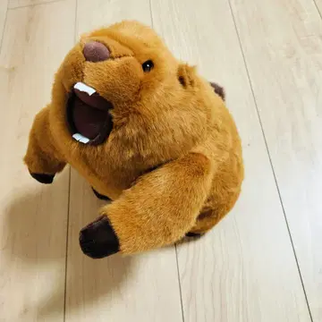 분노의 마모트 싸움 음성 봉제 인형