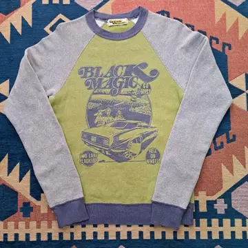 Hysteric Glamour 그래픽 트레이닝복 그린과 그레이