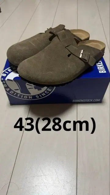 BIRKENSTOCK 보스턴 43 토프