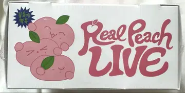 JAEHYUN Real Peach 미개봉 새상품 NCT 127 재현