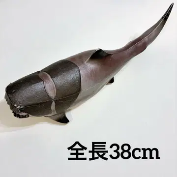 단클레오스테우스 비닐 모델