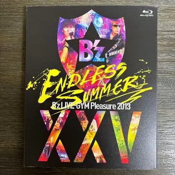 B'z/B'z LIVE-GYM Pleasure 2013 ENDLESS -