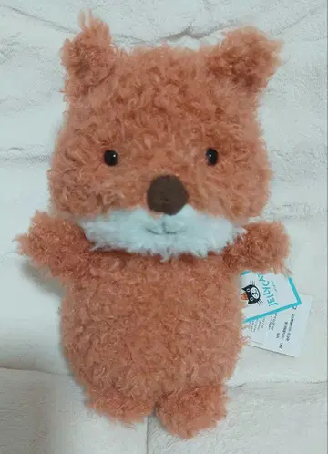 제리캣 Jellycat Little Fox 여우 봉제 인형