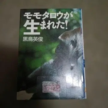모모타로가 태어났다!