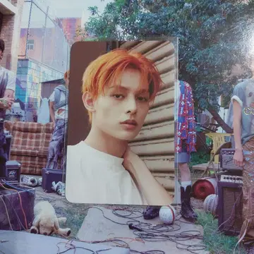 cortis 제임스 makestar