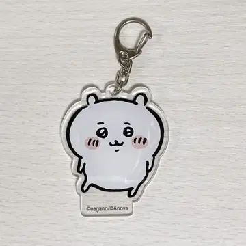 치이카와 (먼작귀) 빌리지 뱅가드 아크릴 키링