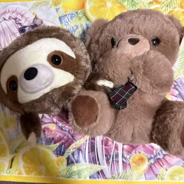 다이토 게임센터 봉제 인형 곰 나무늘보