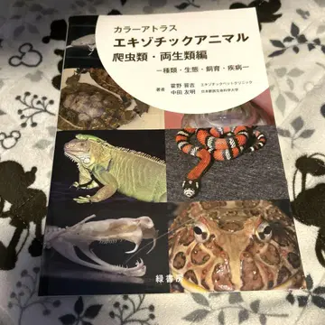 컬러 아틀라스 이그조틱 애니멀 파충류 양서류 편
