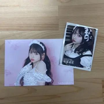 LARME fes 사쿠라바 하루카 트레이딩 카드 엽서 세트