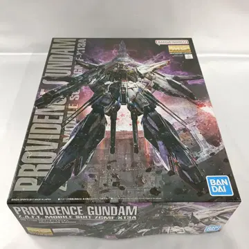 1/100 MG ZGMF-X13A 프로비던스 건담