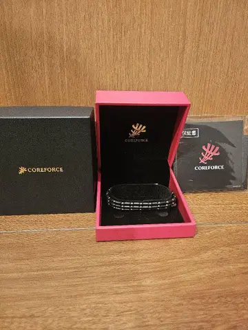 COREFORCE 블랙 액세서리