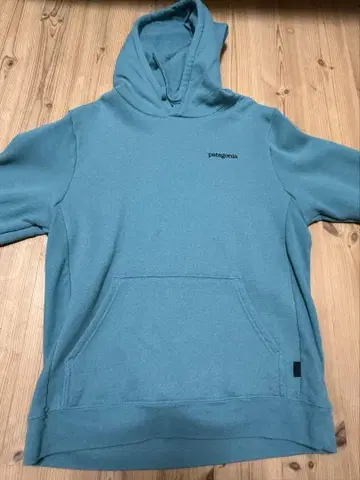 patagonia 후드티