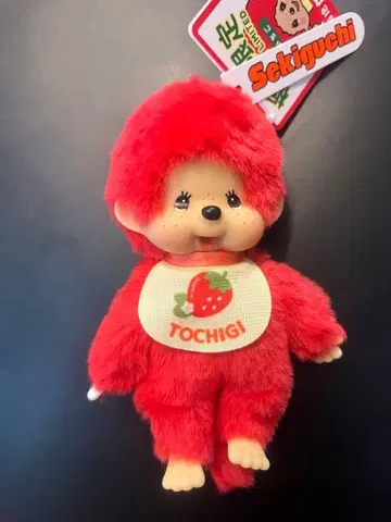 세키구치 고토치 몬치치 도치기 한정판 딸기 레어 몬치치
