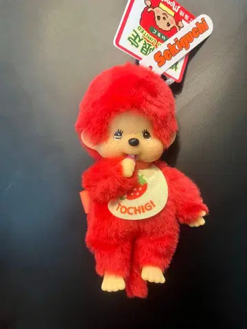 세키구치 고토치 몬치치 도치기 한정판 딸기 레어 몬치치