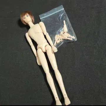 리카짱 캐슬 제니 보이프렌드 커스텀 인형