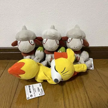 [택 포함] 꼬리 봐봐! 봉제 인형 두르보 편안한 타임 포코 세트