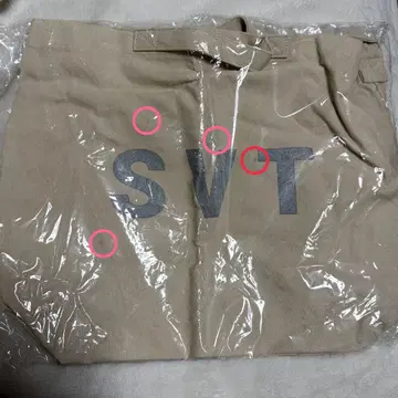 SEVENTEEN SVT 백