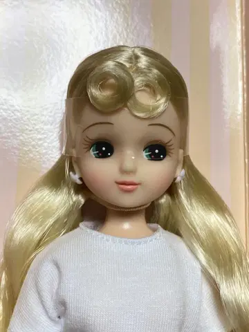 리카짱 캐슬 2021년도판 일본 아이콘 모델 리카짱 V3