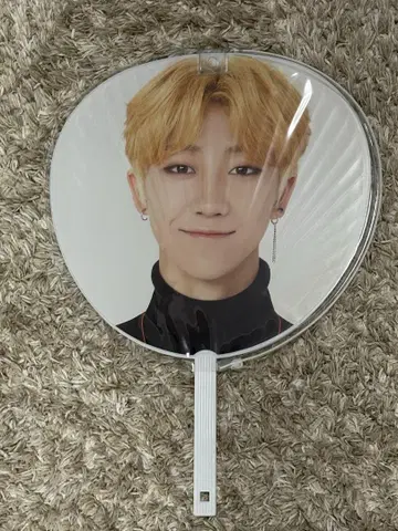 SEVENTEEN THE 8 부채 SVT