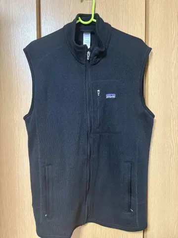 Patagonia 남성용 L 블랙 베스트
