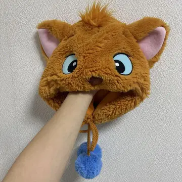 투르즈 팬캡