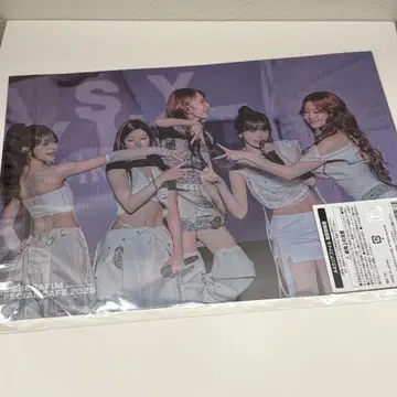 르세라핌 카페 2025 클리어 파일
