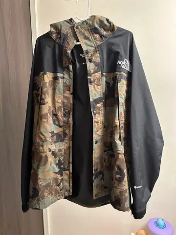 THE NORTH FACE NP62135 마운틴 후드티