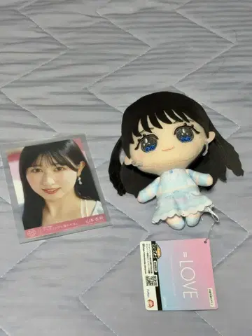 야마모토 안나 세트