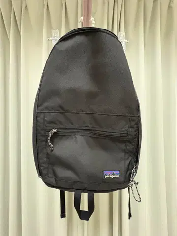 단종 파타고니아 백팩 백팩