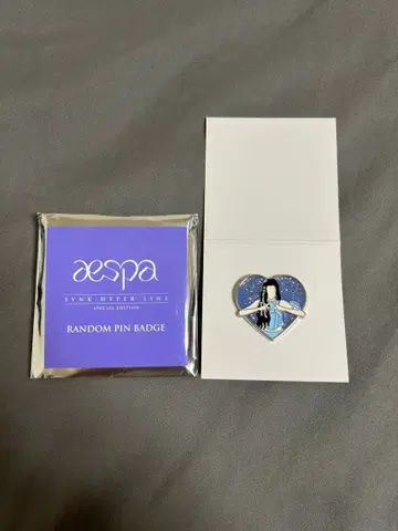 aespa 카리나 Karina 도쿄돔 돔 핀 배지 synk
