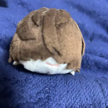 문호 스트레이독스 문스토 모찌모찌 마스코트 포오