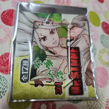 Dr.STONE 아크릴 캐릭터 컬렉션 이시가미 센쿠