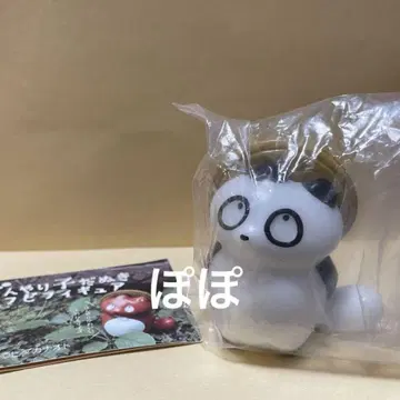 멍한 아기 너구리 팬더