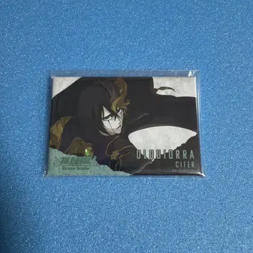 BLEACH 브레솔 캔뱃지