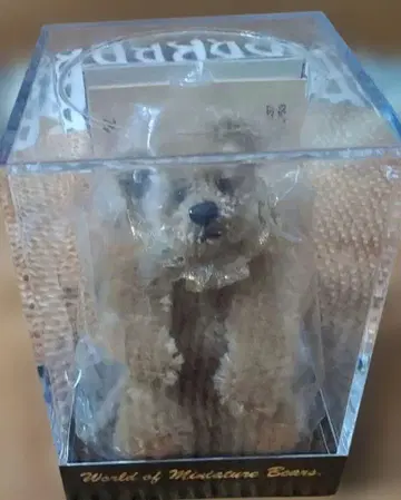 테디베어